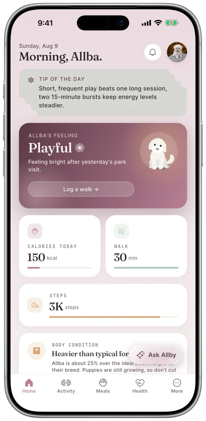 The Allby home screen: Allba's mood for the day, plus calories, walk minutes and steps at a glance