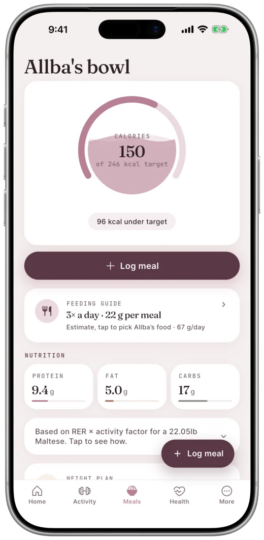 Allba's bowl filling toward the day's calorie target, with a breed-aware feeding guide